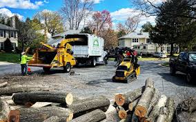 Best Seasonal Cleanup (Spring/Fall)  in Olympia Fields, IL