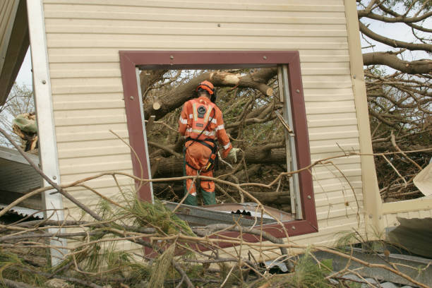 How Our Tree Care Process Works  in  Olympia Fields, IL